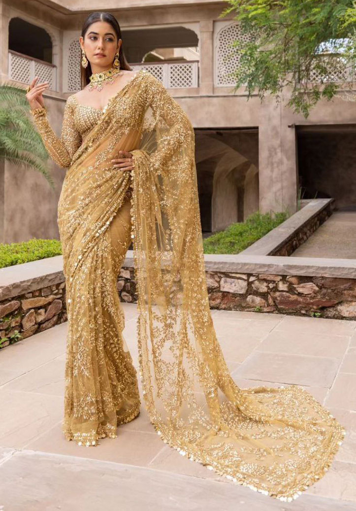 net-festive-saree-in-beige-and-brown-with-sequence-work