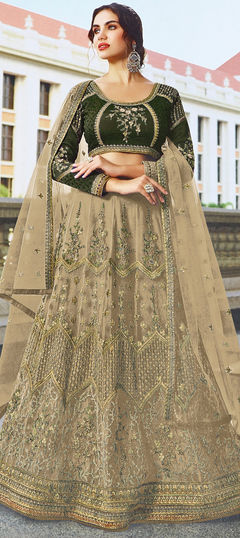 Beige and Brown color Lehenga in Net fabric with Embroidered, Resham, Thread, Zari work