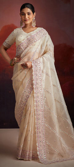 Beige and Brown color Saree in Net fabric with Sequence, Thread, Zircon work