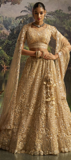 Beige and Brown color Lehenga in Net fabric with Sequence, Thread, Zircon work