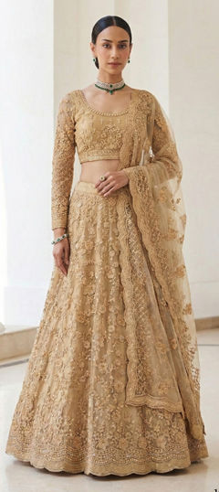 Beige and Brown color Lehenga in Net fabric with Embroidered, Resham, Sequence, Thread work