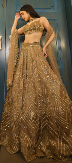 Beige and Brown color Lehenga in Net fabric with Embroidered, Sequence work