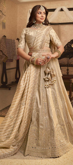Beige and Brown color Lehenga in Banarasi Silk fabric with Cut Dana, Embroidered, Sequence, Thread, Zari, Zircon work