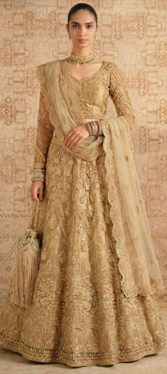 Beige and Brown color Lehenga in Net fabric with Embroidered, Sequence, Stone work