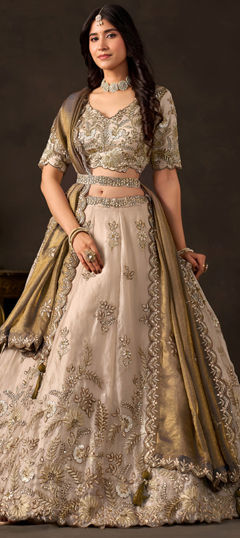 Beige and Brown color Lehenga in Tissue fabric with Embroidered, Sequence, Thread, Zari work