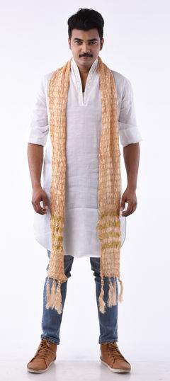 600106 Beige and Brown color family stole in Crushed Silk fabric with Crushed, Zari, Thread work.