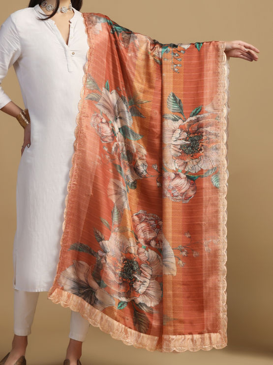 product-image/1995387/1.jpg
