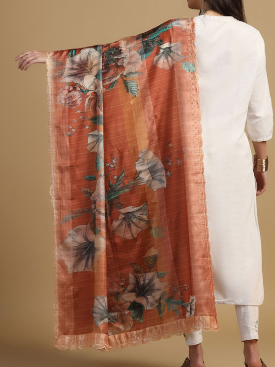 product-image/1995387/2.jpg