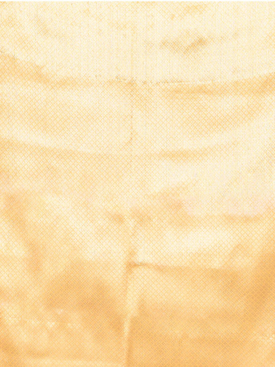 product-image/2009273/3.jpg