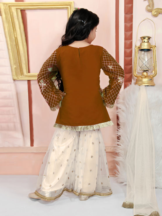 product-image/2016233/2.jpg