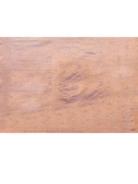 product-image/2025722/4.jpg