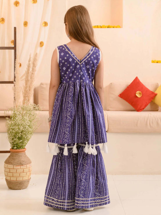 product-image/2027195/2.jpg