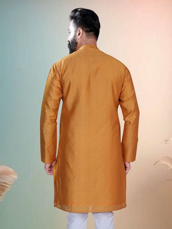 product-image/2031562/2.jpg
