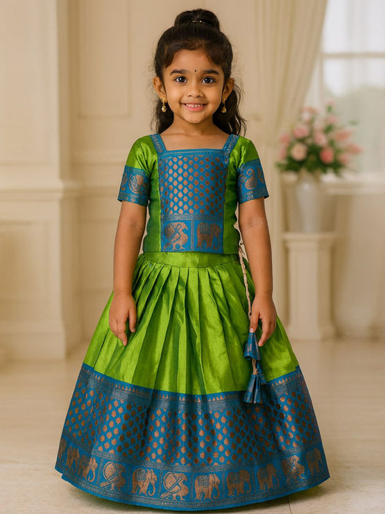 product-image/2032520/1.jpg