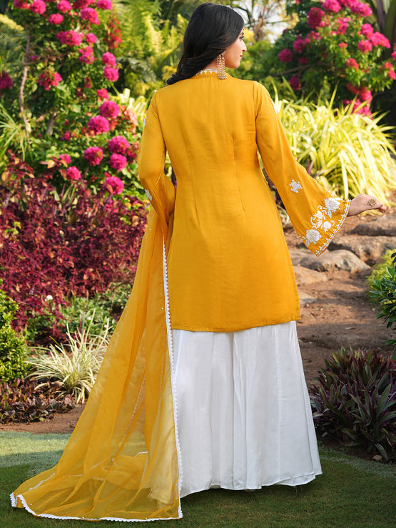 product-image/2048335/2.jpg