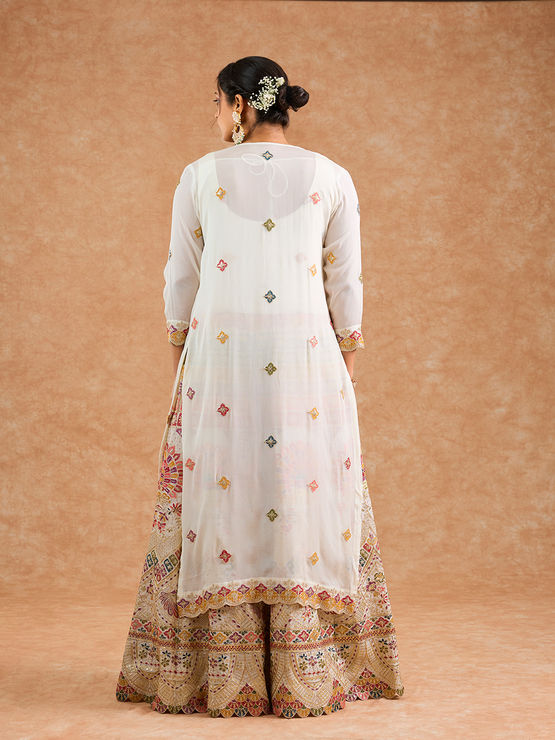 product-image/2057847/2.jpg