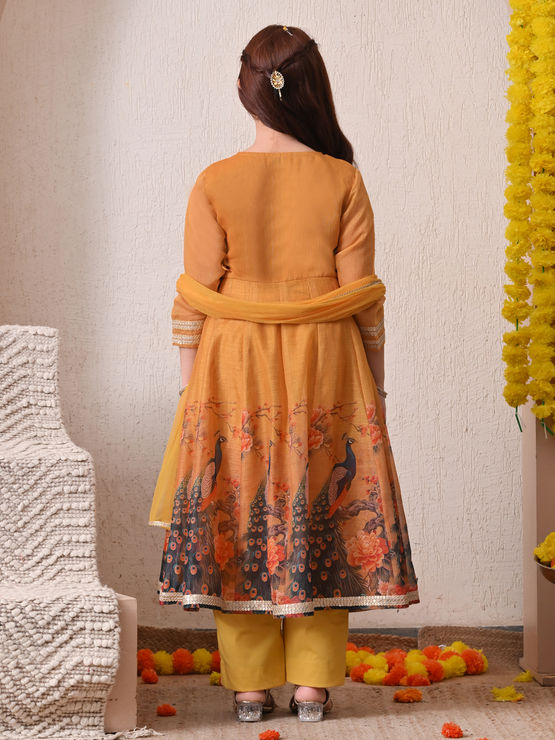 product-image/2062366/2.jpg