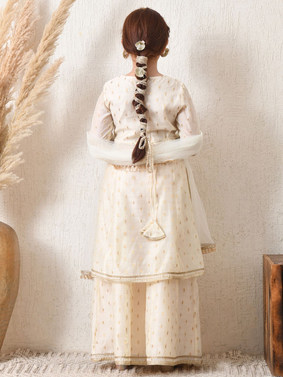 product-image/2062401/2.jpg