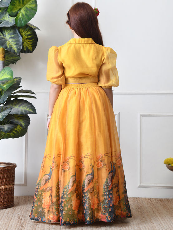 product-image/2062562/3.jpg