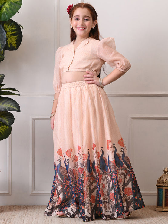 product-image/2062563/2.jpg