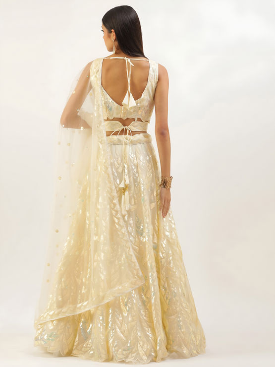 product-image/2071479/2.jpg