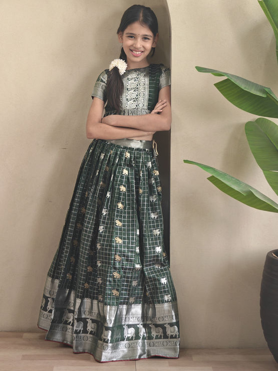 product-image/2080603/1.jpg